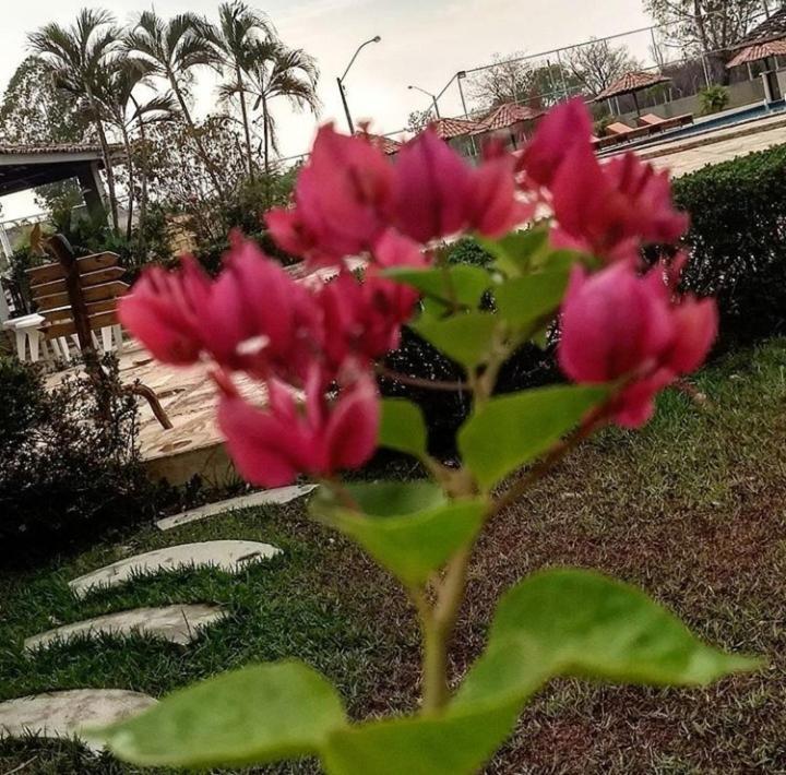 Pousada Recanto Dos Passaros Balsas Extérieur photo