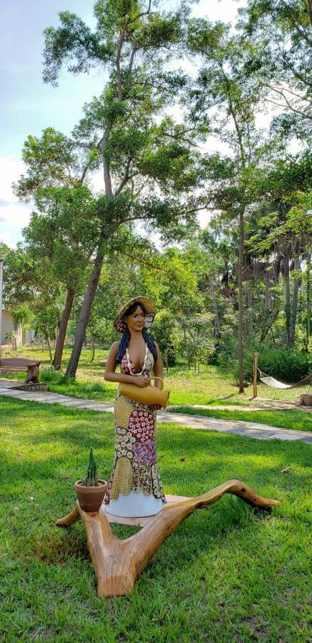 Pousada Recanto Dos Passaros Balsas Extérieur photo